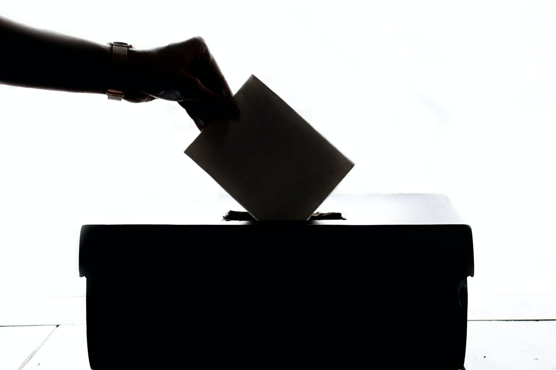 PDF) Mistrust, Disinforming News, and Vote Choice: A Panel Survey