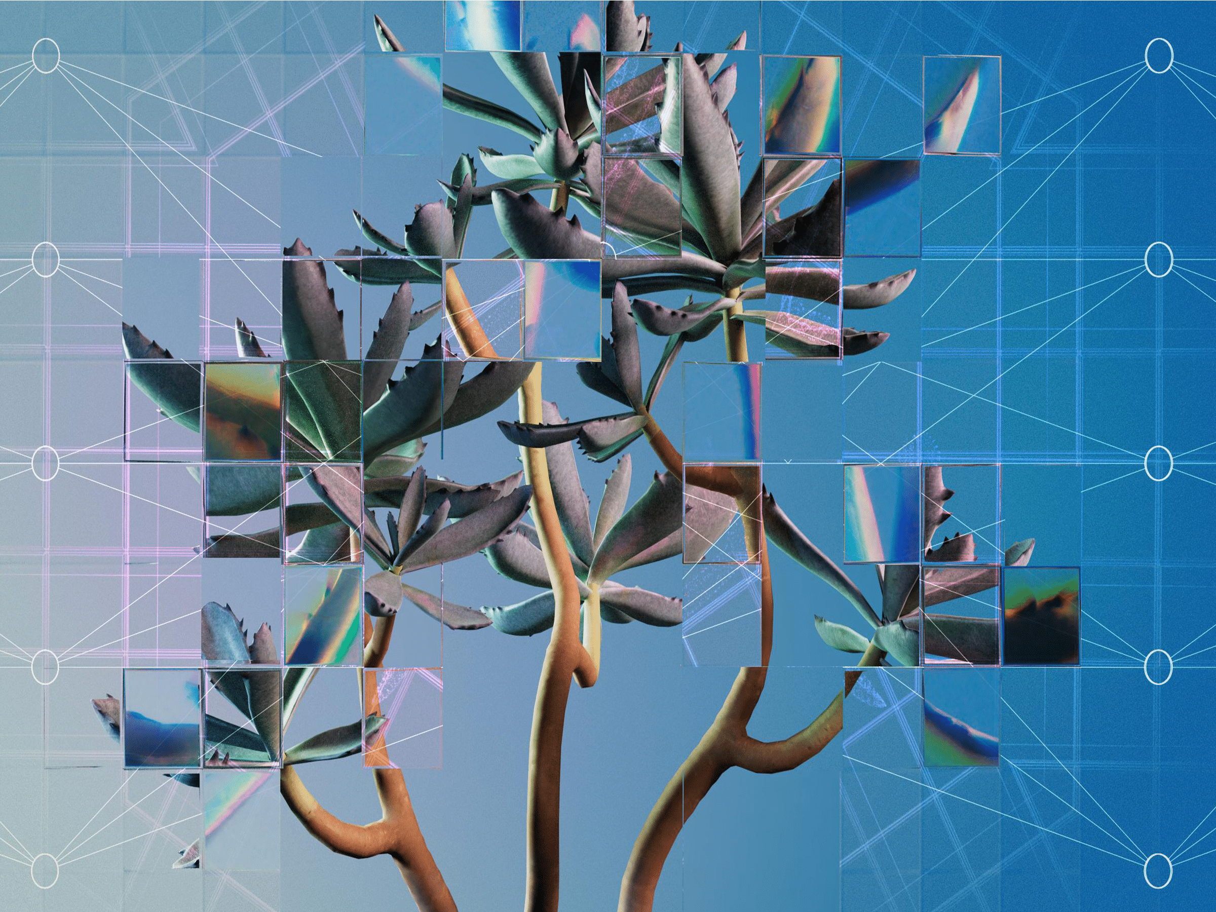 A photographic rendering of a succulent plant seen through a refractive glass grid, overlaid with a diagram of a neural network.
